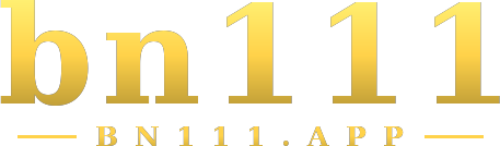 bn111 logo